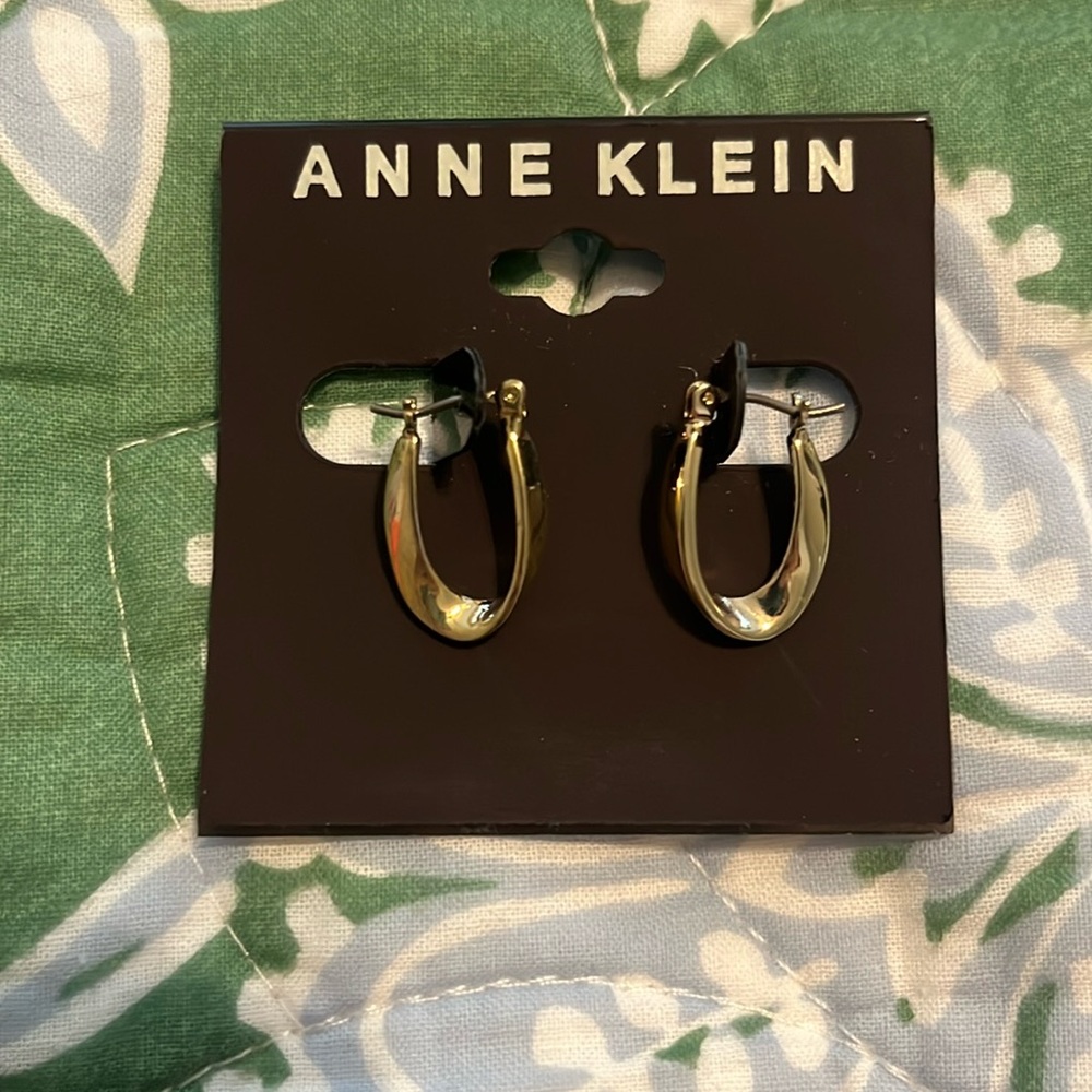 Gold Toned Earrings